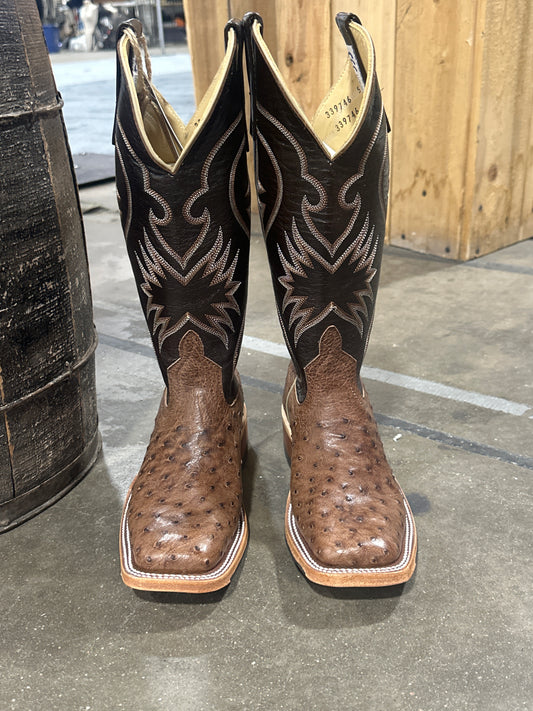 Anderson Bean Womens Boot 339746 Kango Tobac Bruciato Breeder Ostrich/Molasses Absolute